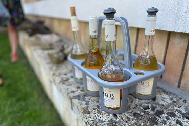 Tokaj Aszú Wine Tour: Disznókő, Oremus & Hercegkút Cellars photo 2