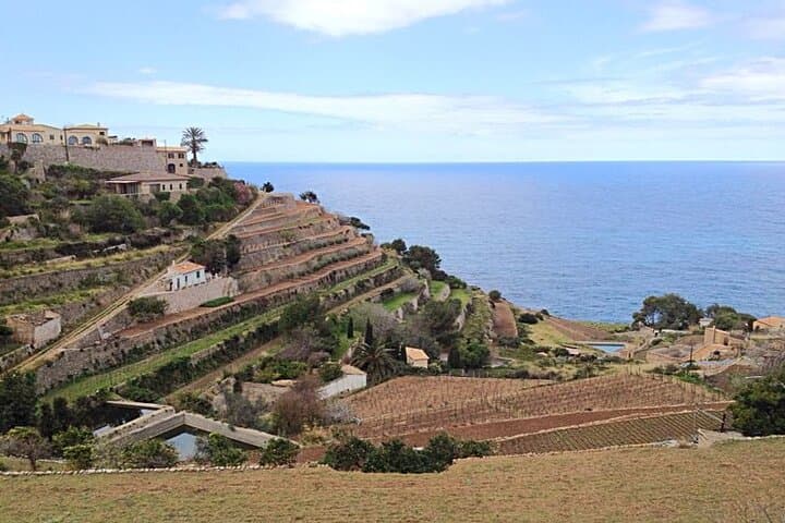 Tramuntana Hidden Gems Scenic Drive: Mallorca Villages & Coastal Viewpoints photo 4