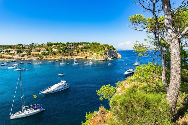 Mallorca Shore Escape: Private Beach Tour to Portals Vells & Cala des Mago