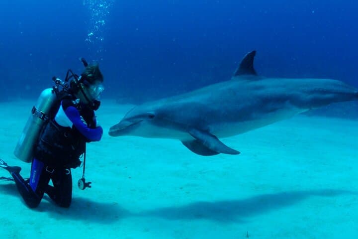 Private Full-Day Hurghada Boat Trip: Snorkel Reefs & Swim With Dolphins photo 3