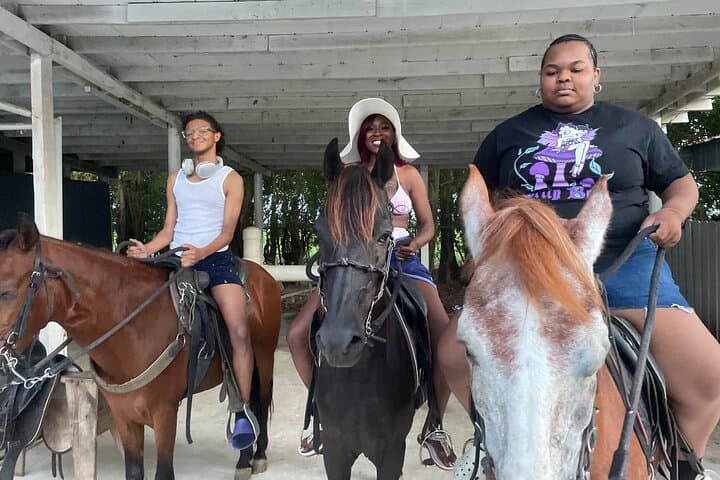 Horseback Riding Through Miami’s Farmlands: Sunrise & Sunset Farm Tours