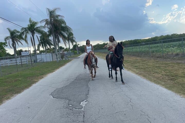 Horseback Riding Through Miami’s Farmlands: Sunrise & Sunset Farm Tours photo 2