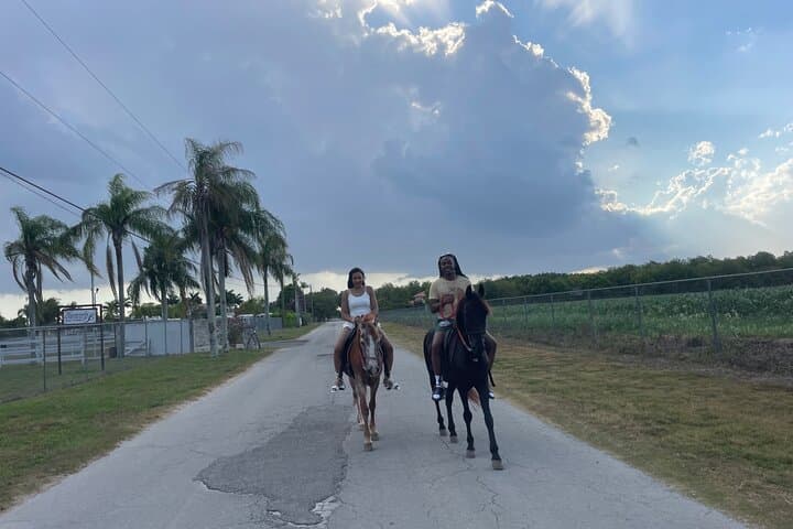 Horseback Riding Through Miami’s Farmlands: Sunrise & Sunset Farm Tours photo 3