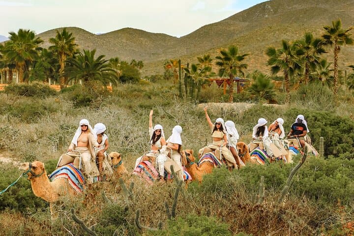 Cabo San Lucas: Boat to El Arco + Pacific Beach Camel Ride and Lunch photo 2