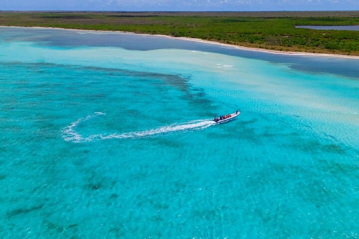 Powerboat Snorkel to Cozumel’s El Cielo: Starfish, Reefs & Beach Lunch photo 4