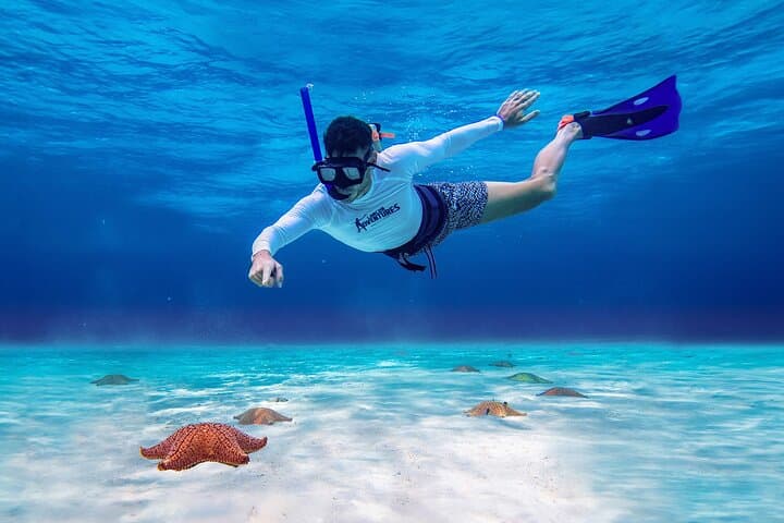 Powerboat Snorkel to Cozumel’s El Cielo: Starfish, Reefs & Beach Lunch