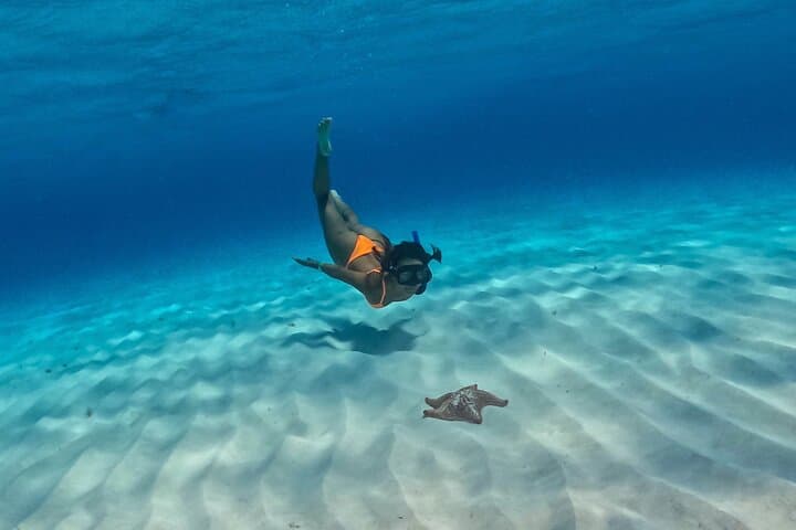 Powerboat Snorkel to Cozumel’s El Cielo: Starfish, Reefs & Beach Lunch photo 6
