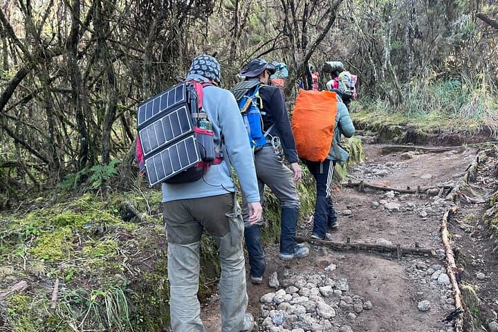 Day Hike on Kilimanjaro via Marangu Route — Mandara Hut in One Day photo 4
