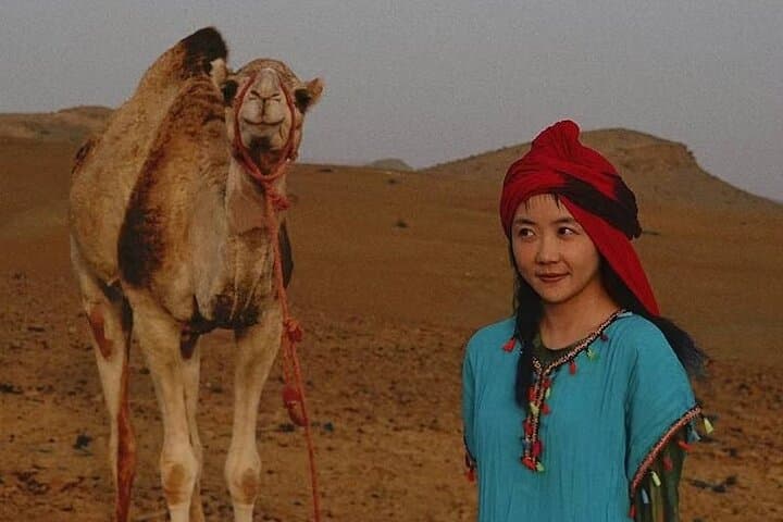 Agafay Desert Sunset Dinner and Camel Ride from Marrakech