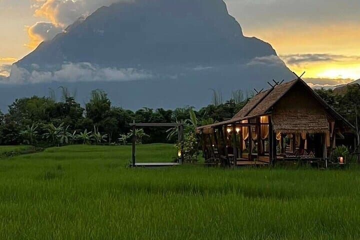 Chiang Dao Yoga Retreat: 3-Day Wellness Escape Near Doi Luang