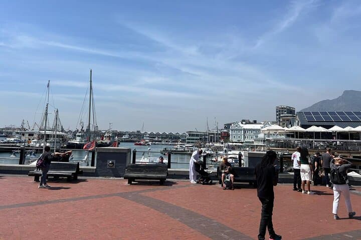 Cape Town Full-Day Wheel, Aquarium & Wine Tour — V&A Waterfront, Two Oceans & Constantia Tastings photo 3