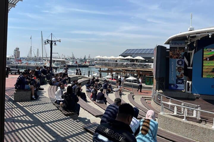 Cape Town Full-Day Wheel, Aquarium & Wine Tour — V&A Waterfront, Two Oceans & Constantia Tastings photo 4