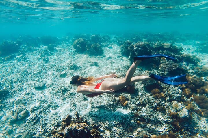 Catamaran to Balandra: Snorkel with Sea Lions & Hidden Beaches from Cabo photo 4