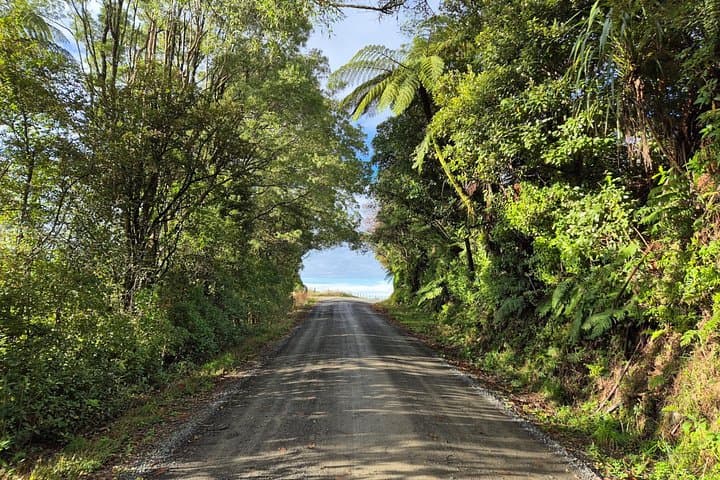 E-Bike From Waitomo Caves to Hobbit Country: Piopio Back-Country Ride photo 1