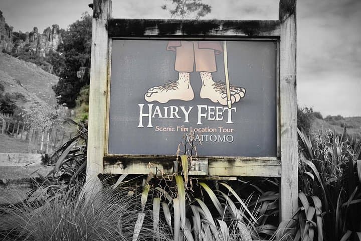 E-Bike From Waitomo Caves to Hobbit Country: Piopio Back-Country Ride photo 3