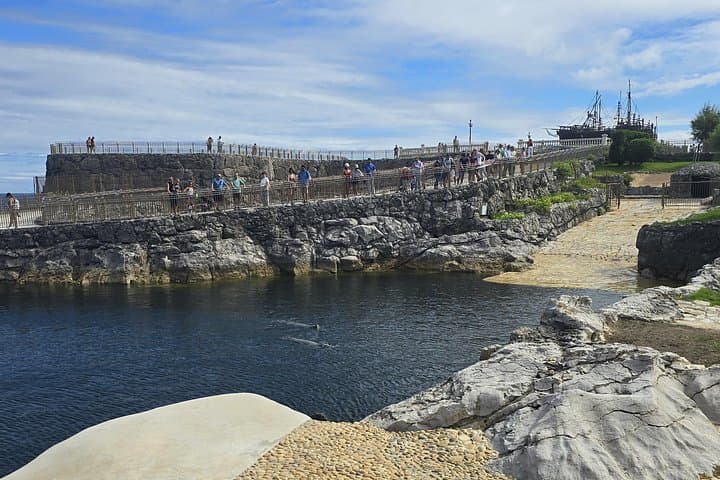 Private Walking Tour of the Magdalena Peninsula and Palace — Santander Guided Walk photo 4