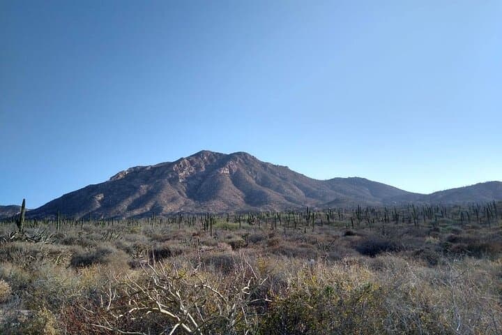 Private Hiking in La Paz: Challenging 3-Hour Coastal Ridge Hike photo 3