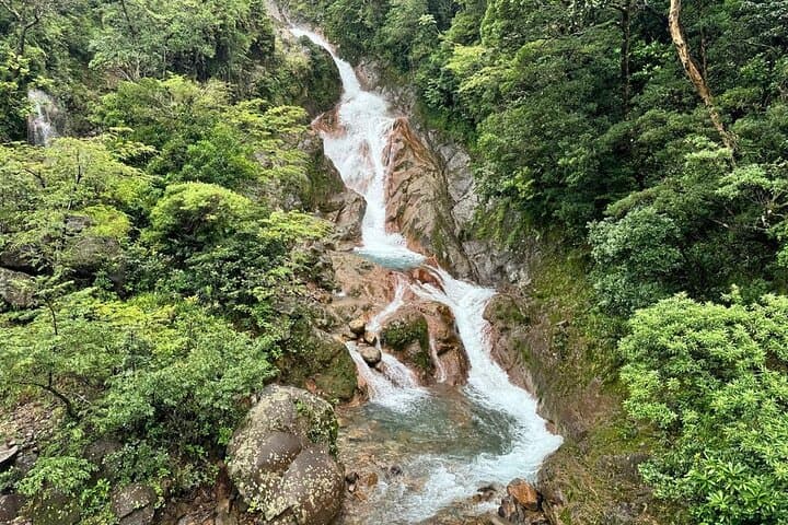 Miravalles Expedition: Horseback Riding, Waterfalls & Volcanic Hot Springs photo 4