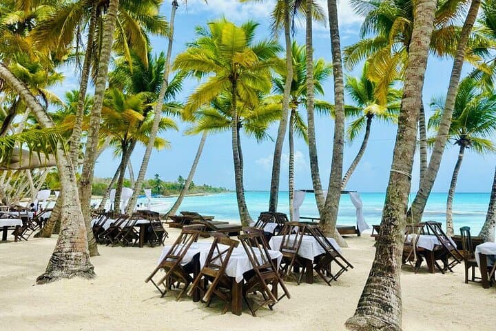 Saona Island Full-Day Excursion: Palmilla Natural Pool, Snorkeling & Open Bar