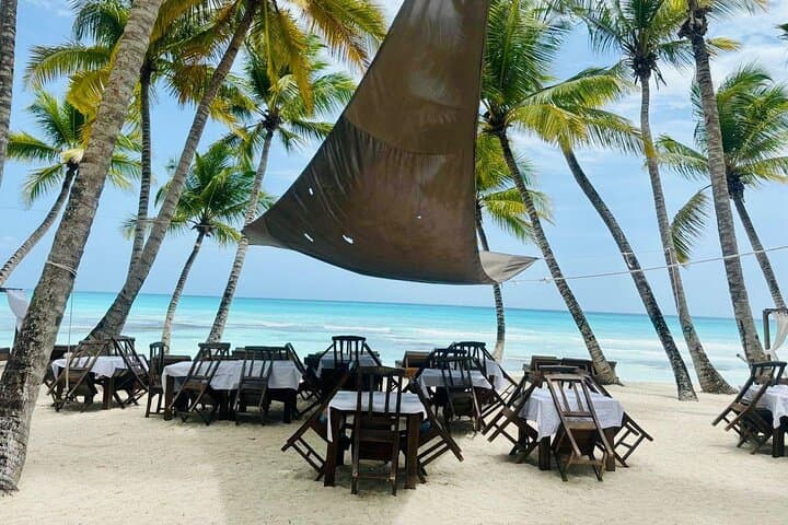 Saona Island Full-Day Excursion: Palmilla Natural Pool, Snorkeling & Open Bar photo 4