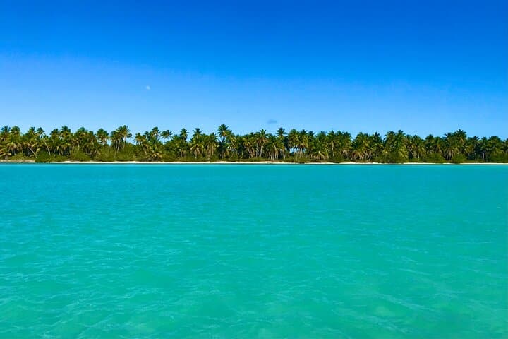 Saona Island Full-Day Excursion: Palmilla Natural Pool, Snorkeling & Open Bar photo 5