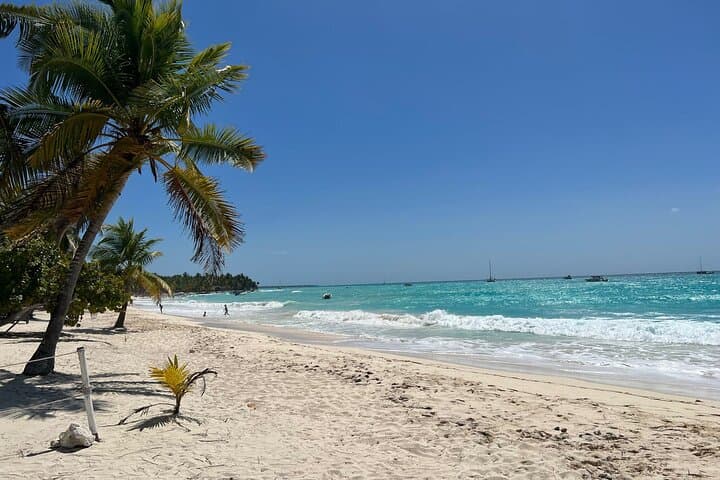Saona Island Full-Day Excursion: Palmilla Natural Pool, Snorkeling & Open Bar photo 6