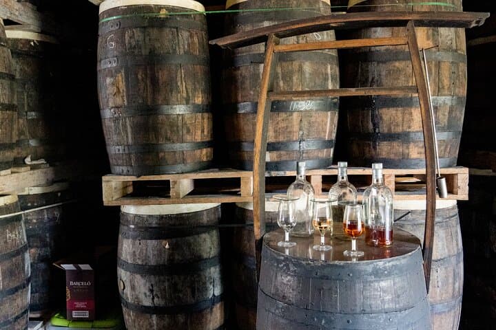 Punta Cana to Ron Barceló & Cueva de las Maravillas: Private Rum Tasting and Cave Tour