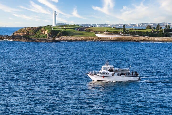 Half-Day Deep Sea Fishing Off Wollongong: Weekday Charters for Snapper and Flathead photo 2