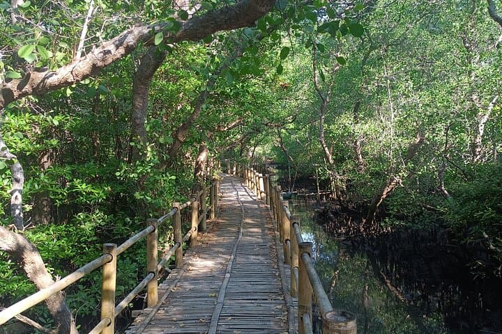 Paddle the Bali Mangroves and Sunset at Uluwatu: Canoeing, Temple Views & Kecak Dance photo 2