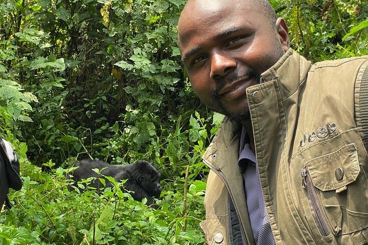 3-Day Gorilla Trekking & Golden Monkey Safari from Kigali photo 4