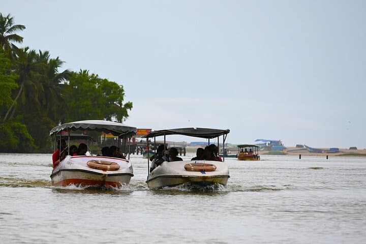 Poovar Private Backwater Boat Cruise: 90-Minute Mangrove Ride & Golden Beach Stop