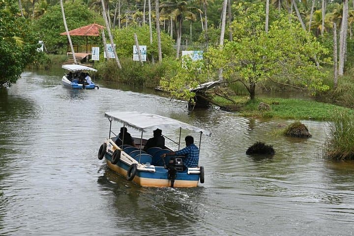 Poovar Private Backwater Boat Cruise: 90-Minute Mangrove Ride & Golden Beach Stop photo 2
