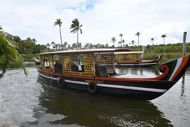 Poovar Private Backwater Boat Cruise: 90-Minute Mangrove Ride & Golden Beach Stop photo 3