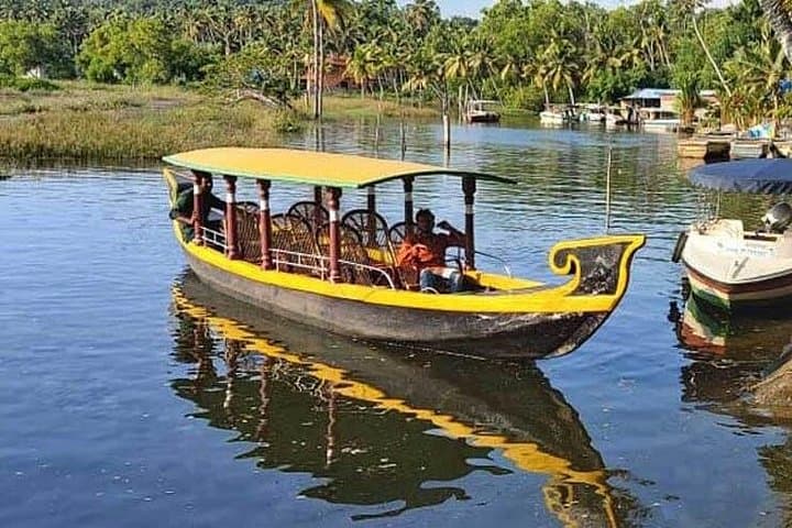 Poovar Private Backwater Boat Cruise: 90-Minute Mangrove Ride & Golden Beach Stop photo 4