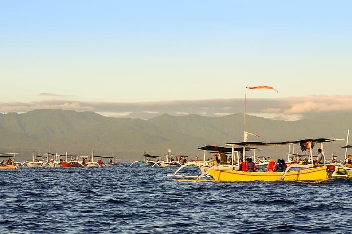 Lovina Dolphin Watching, Swimming & Snorkeling: Sunrise Boat Adventure in North Bali photo 2