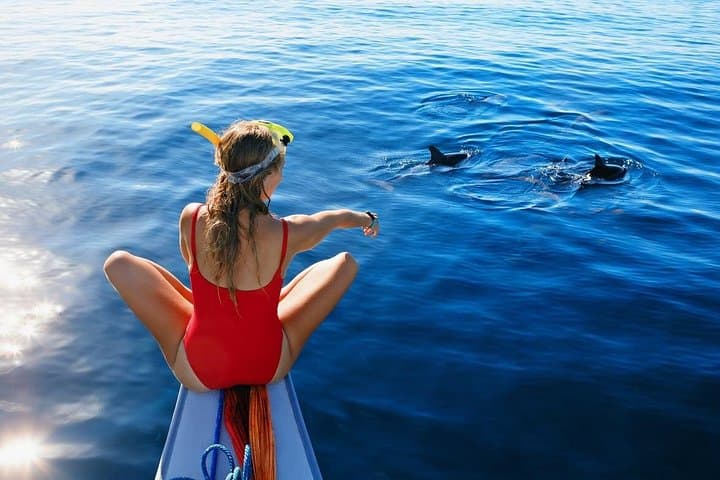 Lovina Dolphin Watching, Swimming & Snorkeling: Sunrise Boat Adventure in North Bali photo 4