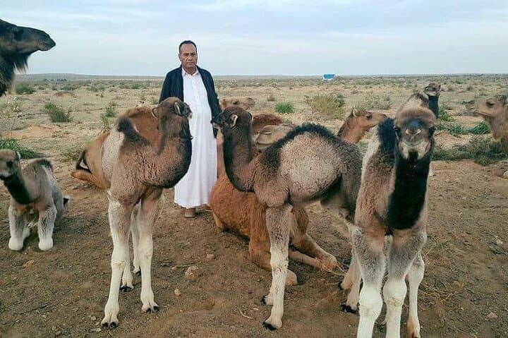 3-Day Bahariya Oasis and White/Black Desert Overland Adventure from Cairo photo 3
