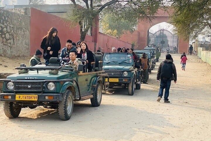 Jhalana Leopard Reserve: Private Jeep Safari in Jaipur