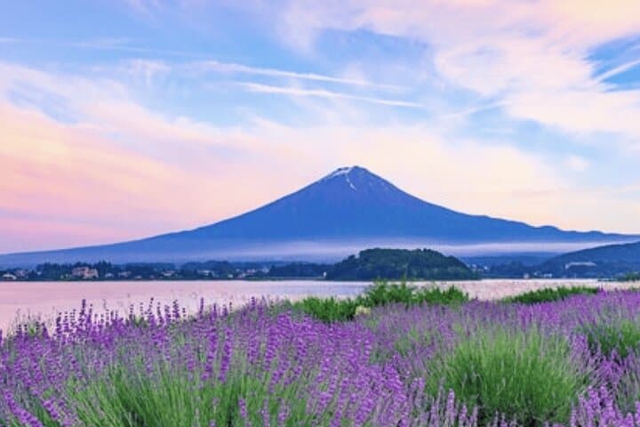 Private Mt. Fuji Day Tour from Tokyo — Customizable Van Excursion photo 4
