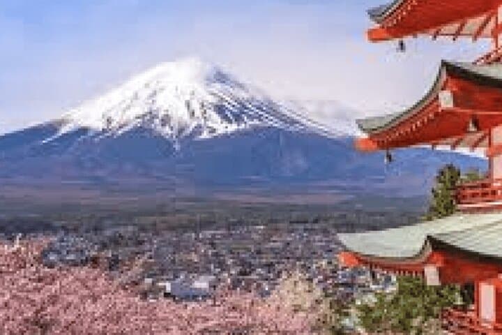 Private Mt. Fuji Day Tour from Tokyo — Customizable Van Excursion photo 5