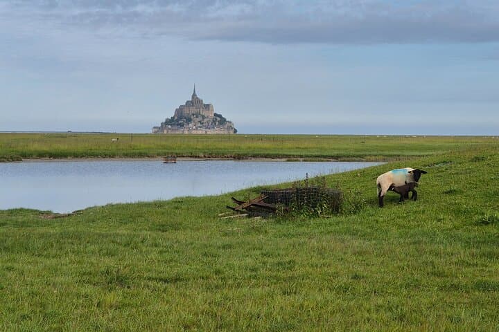 Full-Day Private Tour: Mont Saint-Michel and Normandy D‑Day Beaches from Paris photo 5