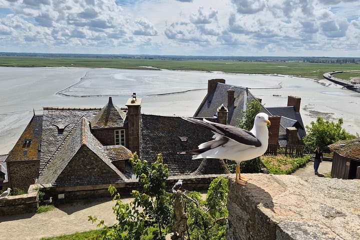 Full-Day Private Tour: Mont Saint-Michel and Normandy D‑Day Beaches from Paris photo 6