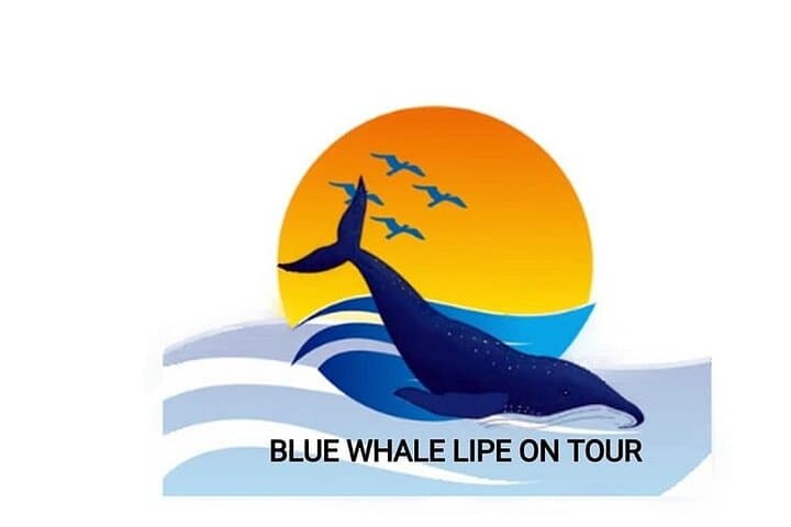 Koh Lipe Private Fishing, BBQ, Sashimi & Snorkeling Boat Tour
