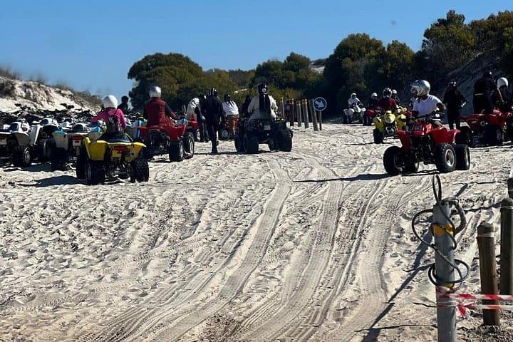 Atlantis Dune Quad Biking & Durbanville Winelands Ostrich Farm Day Tour photo 4