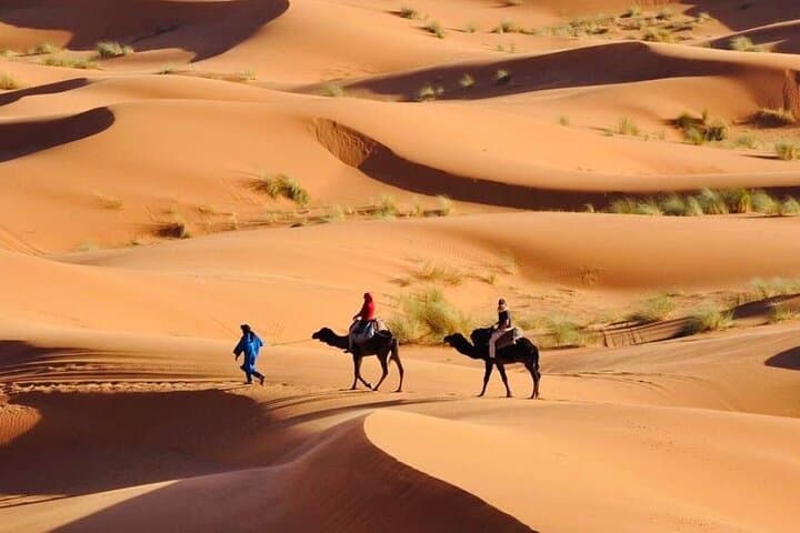 Overnight Desert Camp in Erg Chebbi: Camel Trek, Stargazing & Berber Tents photo 4