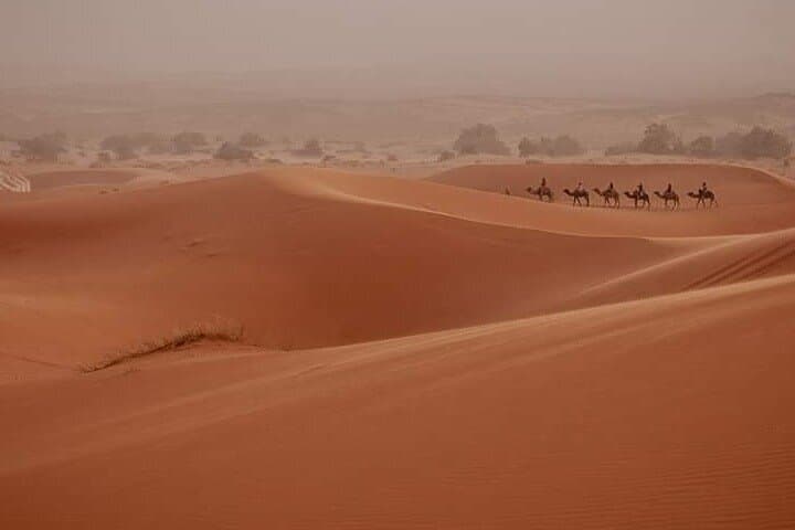 Overnight Desert Camp in Erg Chebbi: Camel Trek, Stargazing & Berber Tents photo 5