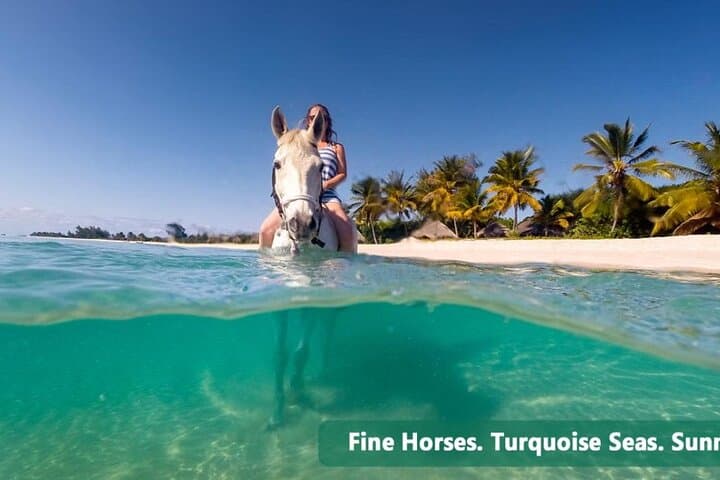 Private Horseback Ride & Hillside Sightseeing from Ocho Rios photo 4