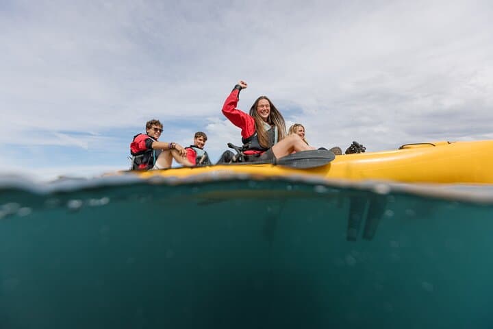 Seal Kayaking in Kaikoura — Pedal Kayak with New Zealand Fur Seals photo 5
