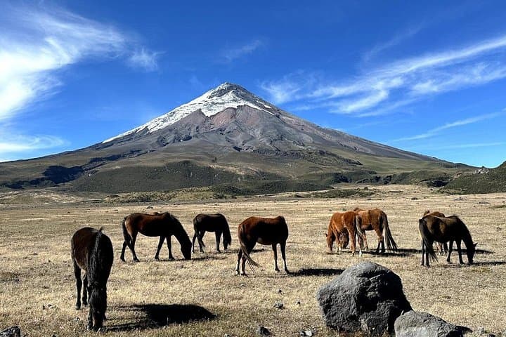 Cotopaxi National Park and Papallacta Hot Springs: Day Trip from Quito photo 1