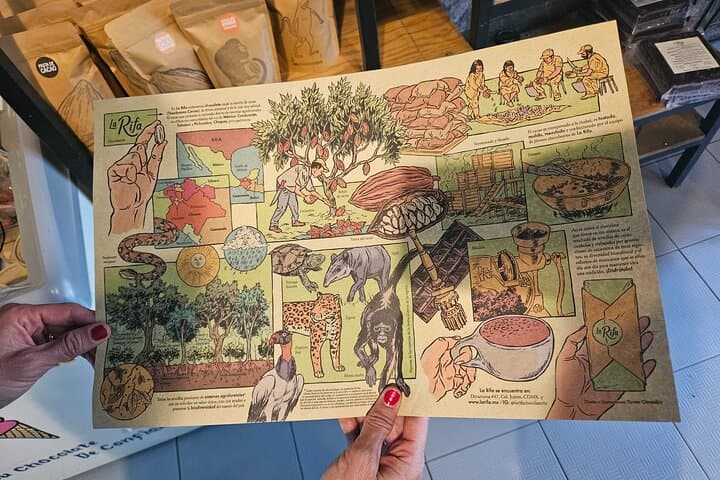 Tamales & Mezcal in La Juárez: Hands-On Culinary Tour in Mexico City photo 2